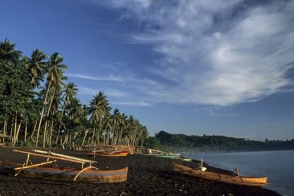 Indonesia, Sulawesi, Batupitih. Palm trees and perahu fishing boats on black sand beach