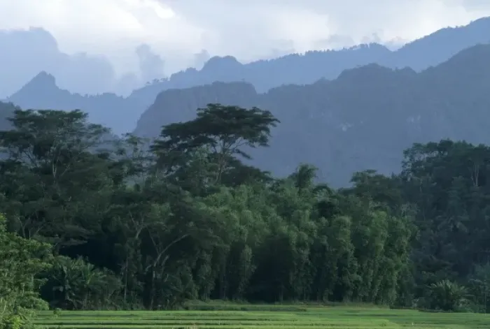 Framed Print : Indonesia, Sulawesi, Tana Toraja region. Karst limestone mountains behind lush forests Framed Print : Indonesia, Sulawesi, Tana Toraja region. Karst limestone mountains behind lush forests