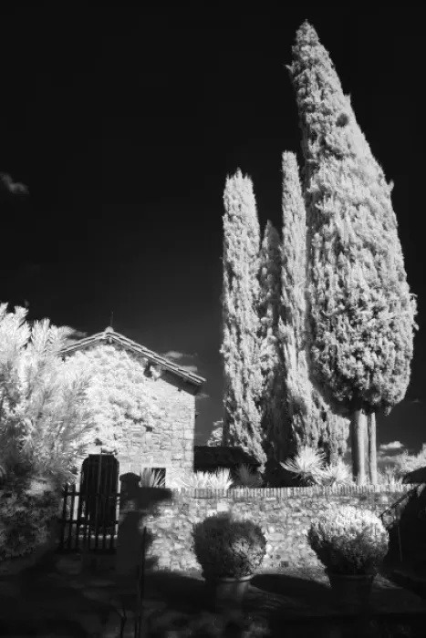 Framed Print : Infra Red Black & White on the Castello Banfi property, Italy