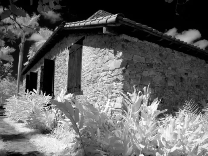 Framed Print : Infra Red image of Buena Vista Coffee Plantation in country in Sierra del Rosario Framed Print : Infra Red image of Buena Vista Coffee Plantation in country in Sierra del Rosario