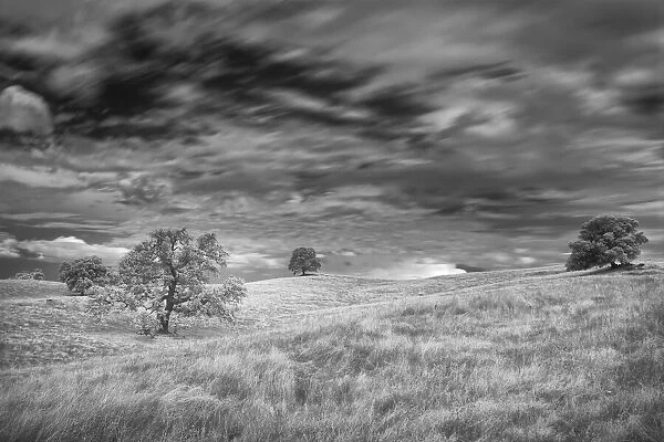 Infrared image of clouds, grasslands and oak trees in Amador County