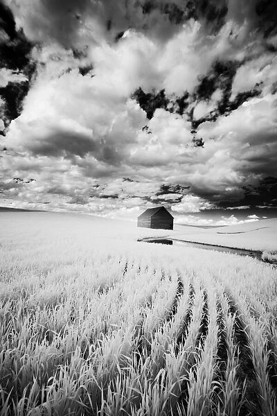 Infrared Palouse fields and barn. (PR)