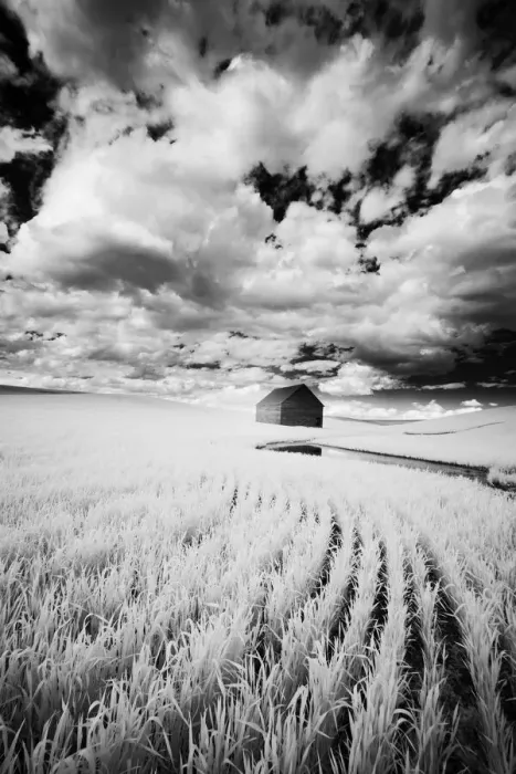 Framed Print : Infrared Palouse fields and barn. (PR)