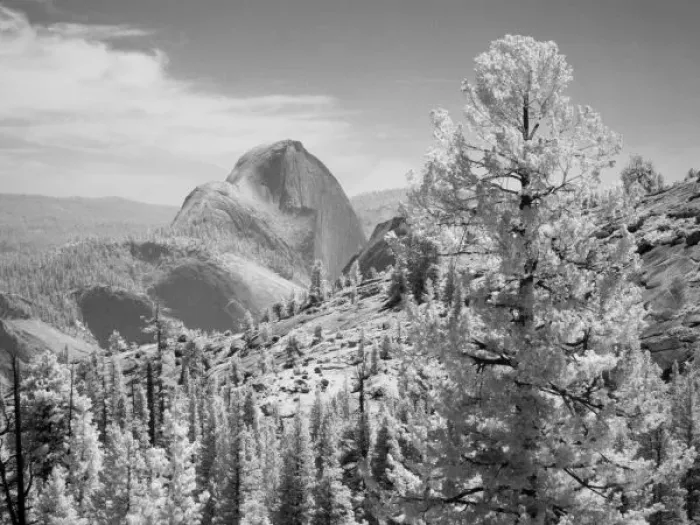Framed Print : Infrared photo in East side of Yosemite National Park, California Framed Print : Infrared photo in East side of Yosemite National Park, California