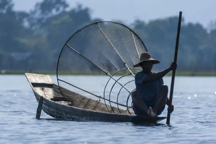 Framed Print : Inlay Lake, Shan State, Myanmar. Fisherman poles his canoe. (Editorial Use Only) Framed Print : Inlay Lake, Shan State, Myanmar. Fisherman poles his canoe. (Editorial Use Only)