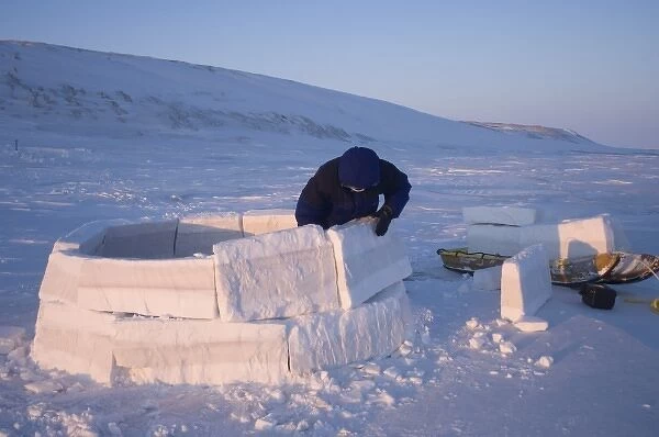 inupiat guide Bruce Inglangasak building an igloo snow blind, along the Arctic coast