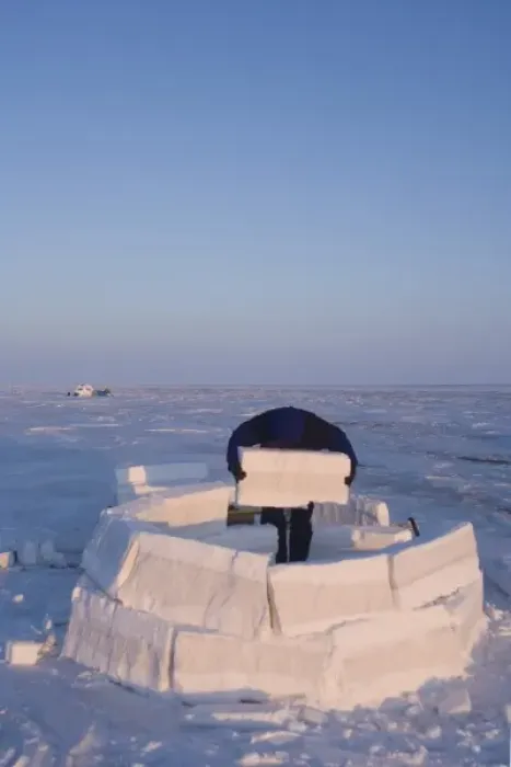 Framed Print : inupiat guide Bruce Inglangasak building an igloo snow blind, along the Arctic coast Framed Print : inupiat guide Bruce Inglangasak building an igloo snow blind, along the Arctic coast