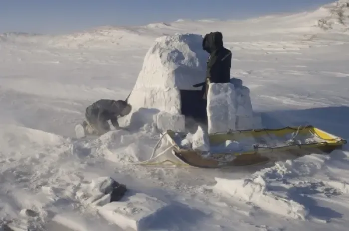 Framed Print : inupiat guides Bruce Inglangasak and Jack Kayotuk finish building an igloo snow blind Framed Print : inupiat guides Bruce Inglangasak and Jack Kayotuk finish building an igloo snow blind