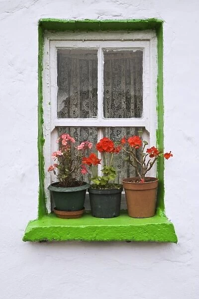Ireland, Cashel. Potted flowers on a window sill