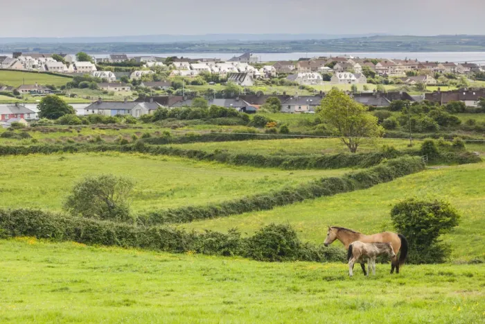 Framed Print : Ireland, County Clare, Killrush, landscape with horses Framed Print : Ireland, County Clare, Killrush, landscape with horses