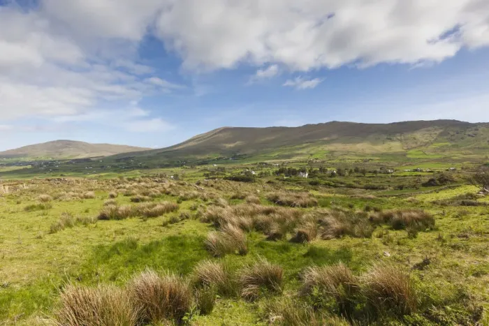 Framed Print : Ireland, County Cork, Beara Peninsula, Ring of Beara, Eyeries, tussock landscape Framed Print : Ireland, County Cork, Beara Peninsula, Ring of Beara, Eyeries, tussock landscape