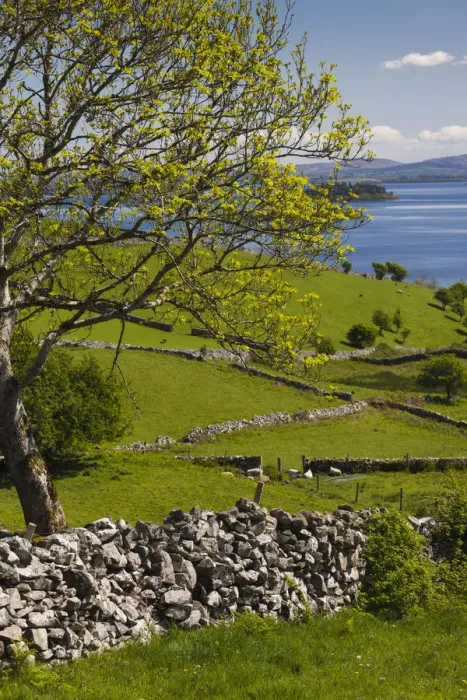 Framed Print : Ireland, County Galway, Cong, elevated springtime landscape Framed Print : Ireland, County Galway, Cong, elevated springtime landscape