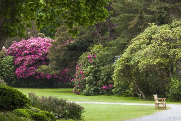 Framed Print : Ireland, County Kerry, Ring of Kerry, Killarney, Killarney National Park, gardens Framed Print : Ireland, County Kerry, Ring of Kerry, Killarney, Killarney National Park, gardens