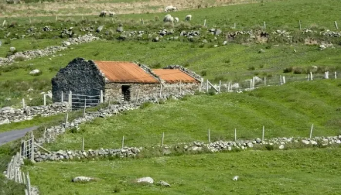 Framed Print : Ireland, County Mayo, Barnabaun Point. Irish countryside with stone wall and red-roofed house Framed Print : Ireland, County Mayo, Barnabaun Point. Irish countryside with stone wall and red-roofed house