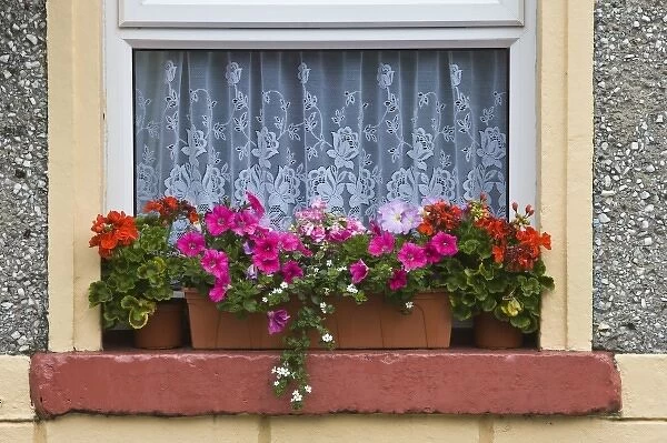 Ireland, County Mayo, Cong. Cottage windowbox with colorful flowers