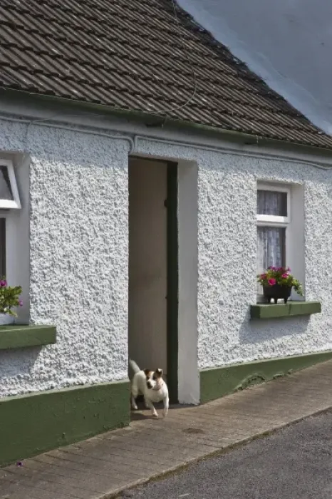 Framed Print : Ireland, County Mayo, Cong. Vacation cottage with Jack Russell Terrier in doorway Framed Print : Ireland, County Mayo, Cong. Vacation cottage with Jack Russell Terrier in doorway