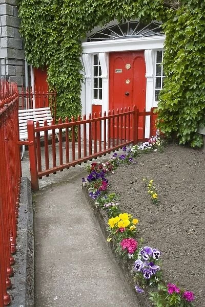 Ireland, County Mayo, Westport. Walkway leading to an ivy-covered house with a red door