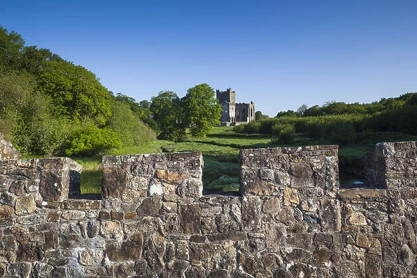 Ireland, County Wexford, Hook Peninsula, Saltmills, Tintern Abbey, 13th century