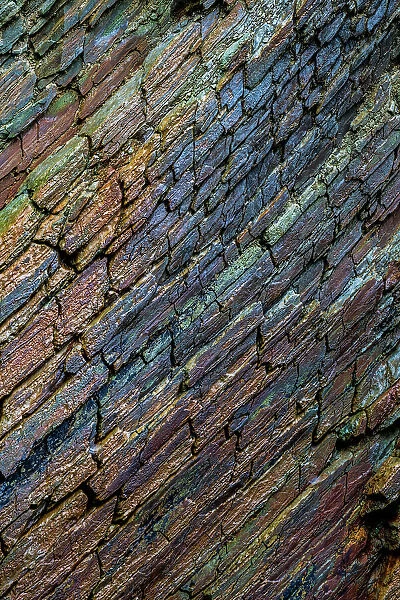 Ireland, Ferriter's Cove. Close-up of rock face colors
