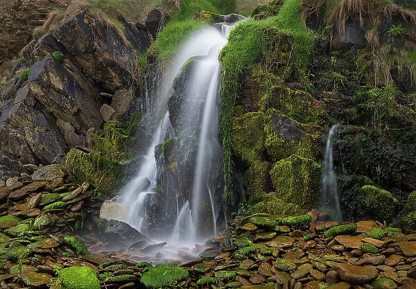 Ireland, Ferriter's Cove. Close-up of waterfall and mossy rocks