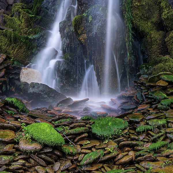 Ireland, Ferriter's Cove. Close-up of waterfall and mossy rocks
