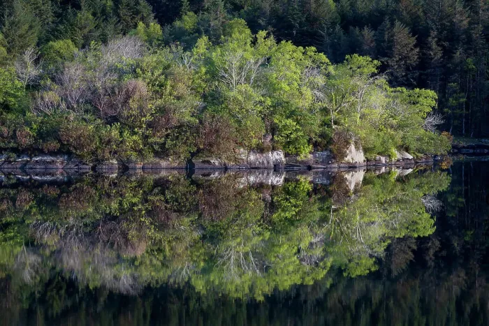 Framed Print : Ireland. Forest and rock shore reflections on Lake Cummeenduff Framed Print : Ireland. Forest and rock shore reflections on Lake Cummeenduff
