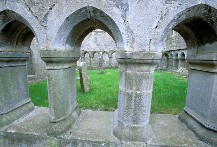 Framed Print : Ireland, Co mayo. Ross Abbey Framed Print : Ireland, Co mayo. Ross Abbey
