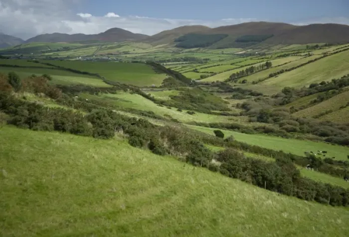 Framed Print : Irish Countryside, Ireland, Farms, Landscape, Scenic, Hills, Valley