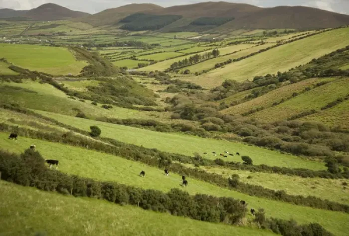 Framed Print : Irish Countryside, Ireland, Farms, Landscape, Scenic, Fences Framed Print : Irish Countryside, Ireland, Farms, Landscape, Scenic, Fences