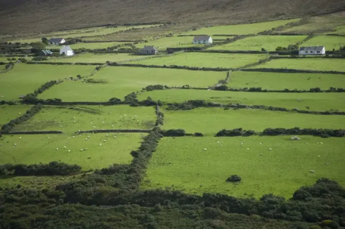 Framed Print : Irish Countryside, Ireland, Farms, Landscape, Scenic