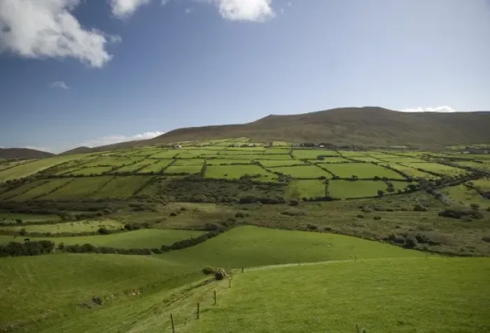 Framed Print : Irish Countryside, Ireland, Farms, Landscape, Scenic Framed Print : Irish Countryside, Ireland, Farms, Landscape, Scenic
