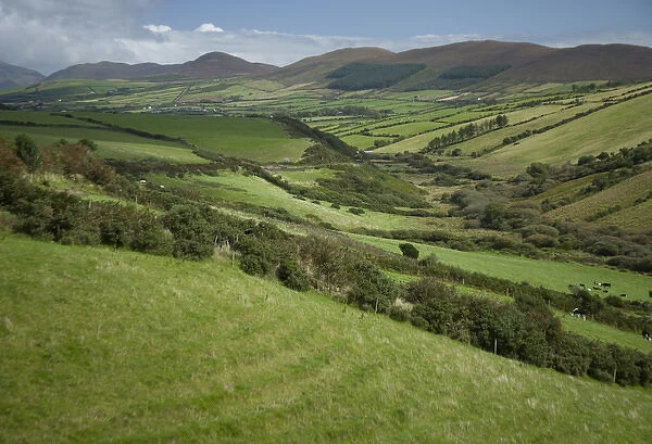 Irish Countryside, Ireland, Farms, Landscape, Scenic, Hills, Valley