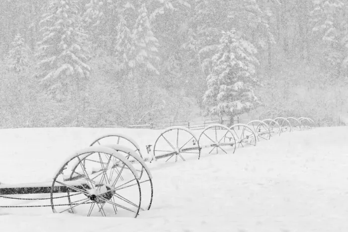 Framed Print : Irrigation sprinkler system in winter snowstorm, Kalispell, Montana Framed Print : Irrigation sprinkler system in winter snowstorm, Kalispell, Montana