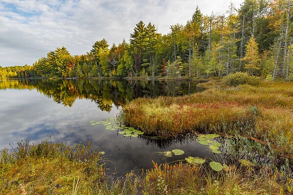 Irwin Lake and bog, Hiawatha National Forest, Upper Peninsula of Michigan