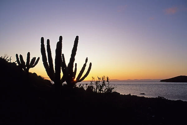 Isla Espirito Santos, Sea of Cortez, Baja California, Mexico
