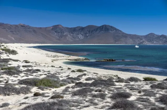 Framed Print : Isla de Espiritu Santo, Baja, Mexico, Pristine crescent beaches of Isla de Espiritu
