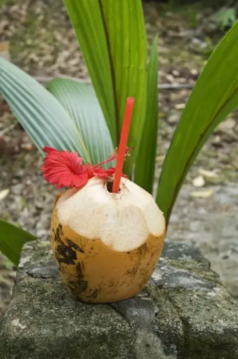 Framed Print : Island coconut drink on Fregate Island