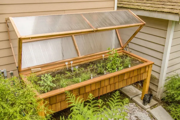 Framed Print : Issaquah, Washington State, USA. Waist-high 3 x 8 wood greenhouse with a Framed Print : Issaquah, Washington State, USA. Waist-high 3 x 8 wood greenhouse with a