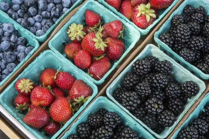 Framed Print : Issaquah, Washington State, USA. Pints of freshly harvested strawberries, blueberries and blackberries for sale at a Farmers Market Framed Print : Issaquah, Washington State, USA. Pints of freshly harvested strawberries, blueberries and blackberries for sale at a Farmers Market