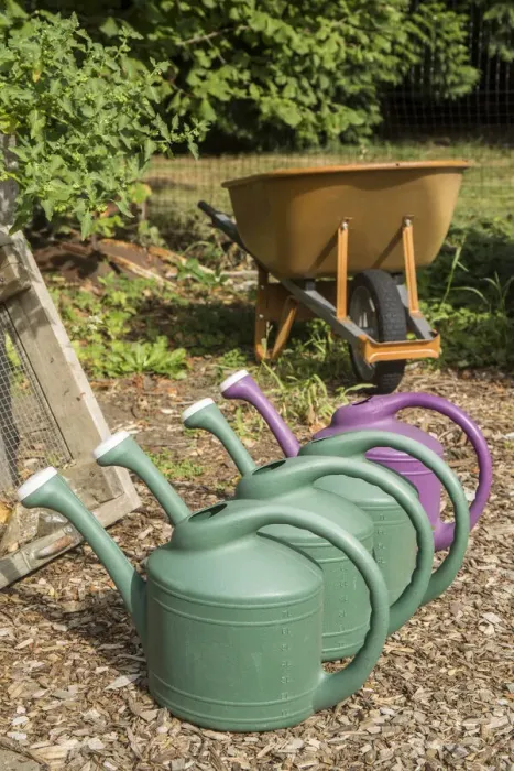 Framed Print : Issaquah, Washington State, USA. Row of plastic watering cans for hand-watering a garden Framed Print : Issaquah, Washington State, USA. Row of plastic watering cans for hand-watering a garden