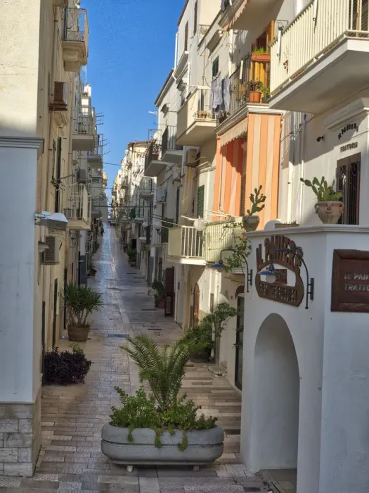 Framed Print : Italy, Apulia, Foggia, Vieste. A picturesque alley in Vieste old town Framed Print : Italy, Apulia, Foggia, Vieste. A picturesque alley in Vieste old town