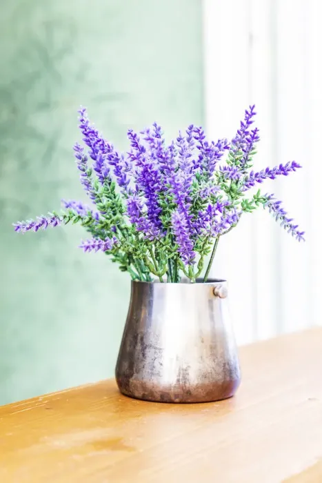 Framed Print : Italy, Apulia, Metropolitan City of Bari, Monopoli. Lavender flowers in a metal vase Framed Print : Italy, Apulia, Metropolitan City of Bari, Monopoli. Lavender flowers in a metal vase