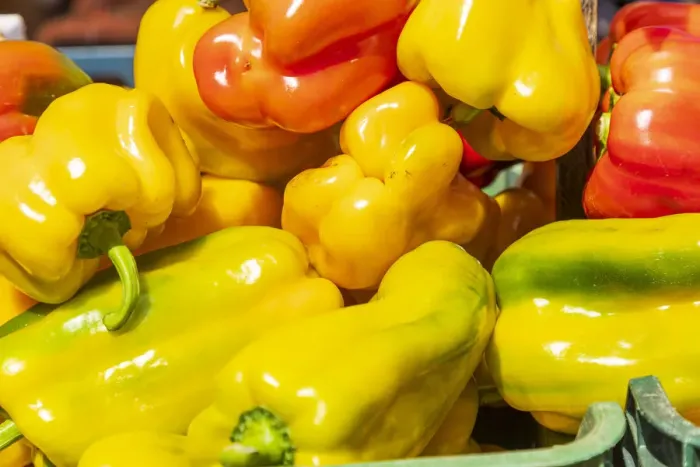 Framed Print : Italy, Apulia, Metropolitan City of Bari, Locorotondo. Peppers for sale in an outdoor Framed Print : Italy, Apulia, Metropolitan City of Bari, Locorotondo. Peppers for sale in an outdoor