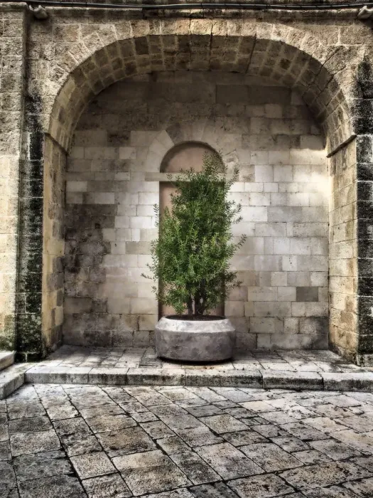 Framed Print : Italy, Bari, Apulia, Monopoli. Arch with potted plants in the courtyard near the Basilica