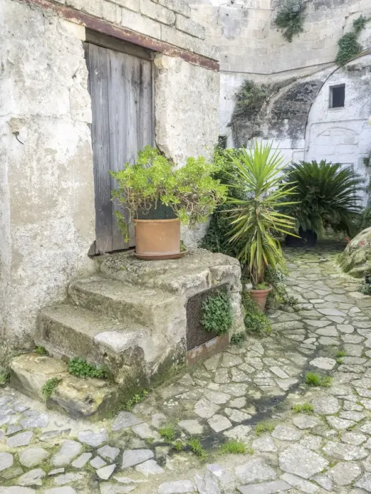 Framed Print : Italy, Basilicata, Matera. Plants adorn the outside walls of the Sassi houses