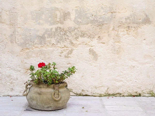 Italy, Basilicata, Matera. Potted plants outside the Sassi houses