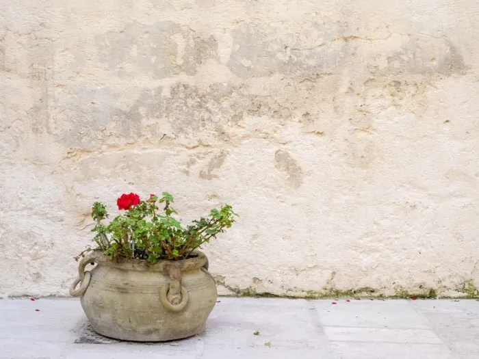 Framed Print : Italy, Basilicata, Matera. Potted plants outside the Sassi houses Framed Print : Italy, Basilicata, Matera. Potted plants outside the Sassi houses