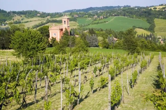 Framed Print : Italy, Bologna, View through Vineyard to Chiesa Di Casaglia Framed Print : Italy, Bologna, View through Vineyard to Chiesa Di Casaglia