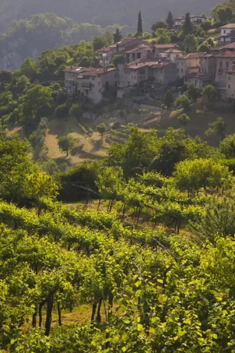 Framed Print : ITALY, Brescia Province, Tremosine. Sermerio vineyards