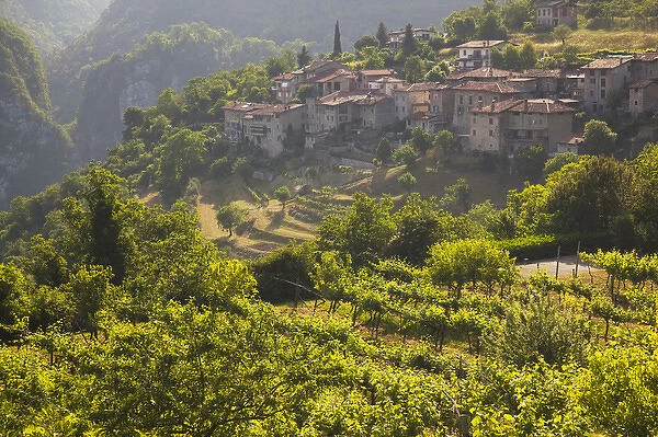 ITALY, Brescia Province, Tremosine. Sermerio vineyards